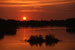 Auringonlaksu joella