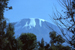 Kilimanjaro